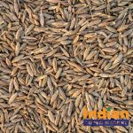 Cumin-Whole